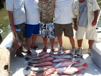 fishtaxi-fishing-charters-florida-2012-18