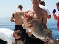 gag-grouper-tampa-offshore-charter-2012