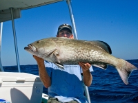 grouper-fishing-tampabay-florida
