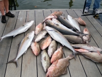 offshore-charter-fishing-florida-2012-5